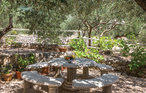 Ferieleilighet - Makarska , Kroatia - CDM223 3