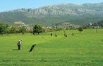Ferieleilighet - Split-Podstrana , Kroatia - CDF781 20