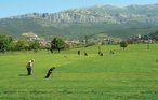 Feriehus - Split-Stobrec , Kroatia - CDM868 54