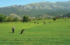 Feriehus - Split-Stobrec , Kroatia - CDM868 44