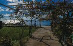 Feriehus - Peljesac-Postup , Kroatia - CDP253 16