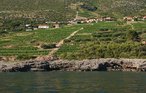 Feriehus - Peljesac-Postup , Kroatia - CDP253 33
