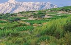 Feriehus - Peljesac-Postup , Kroatia - CDP253 32