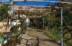 Feriehus - Peljesac-Postup , Kroatia - CDP253 11
