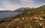 Kuća-za-odmor - Peljesac-Orebic , Hrvatska - CDP358 2