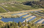 Ferieleilighet - Ploce-Birine , Kroatia - CDR117 23