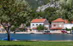 Ploce-Rogotin