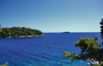Semesterlägenhet - Korcula-Prizba , Kroatien - CDS476 19