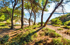 Feriehus - Korcula-Nova , Kroatia - CDS912 26