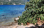 Feriehuse - Korcula-Zrnovska Banja , Kroatien - CDS519 13
