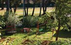 Ferieleilighet - Fazana-Valbandon , Kroatia - CIF707 8