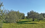 Ferienhaus - Labin-Drenje , Kroatien - CIK732 15