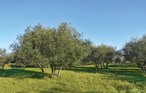 Ferienhaus - Labin-Drenje , Kroatien - CIK732 16
