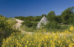 Semesterlägenhet - Barban-Hrboki , Kroatien - CIL813 31