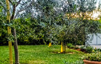 Ferienhaus - Pula-Sisan , Kroatien - CIR271 8