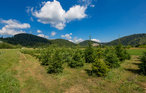 Apartment - Gorski Kotar-Vrata , Croatia - CKB205 13