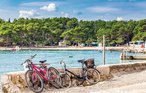 Ferienwohnung - Krk , Kroatien - CKI470 46