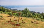 Ferienwohnung - Opatija-Lovran , Kroatien - CKO008 8