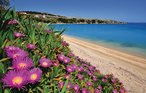 Ferieleilighet - Pag , Kroatia - CKP009 27