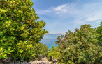 Apartment - Senj - Klada , Croatia - CKV597 15
