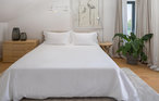 Feriehus - Brac-Sutivan , Kroatia - CLD244 39