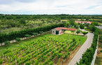 Feriehus - Nin-Poljica , Kroatia - CLD118 32