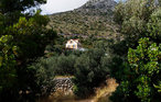 Feriehus - Hvar , Kroatia - CLD214 20