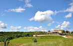 Ferienhaus - Buzet , Kroatien - CLI255 22