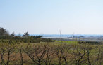 Feriehus - Øer Strand , Danmark - D04203 4