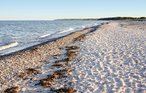Ferienhaus - Dråby Strand , Dänemark - D07177 34
