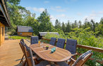 Ferienhaus - Boeslum Bakker , Dänemark - D09024 17