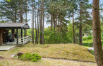 Feriehuse - Boeslum Bakker , Danmark - D09050 11