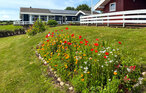 Feriehus - Lavensby Strand , Danmark - D1067 21
