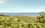 Feriehus - Lyngsbæk Strand , Danmark - D16388 2