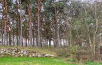 Feriehuse - Begtrup Vig Strand , Danmark - D25485 17