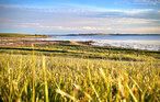 Ferienhaus - Knebel Strand , Dänemark - D39139 71