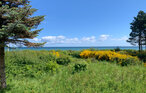 Feriehus - Dyngby Strand , Danmark - D4041 20