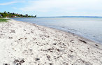 Feriehus - Skæring Strand , Danmark - D53202 22