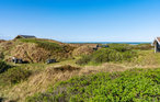 Ferienhaus - Grønhøj Strand , Dänemark - D7066 20