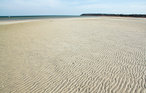 Ferienhaus - Bønnerup Strand , Dänemark - D73115 37
