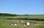 Ferieleilighet - Juelsminde , Danmark - D87018 18