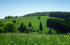 Feriehus - Hasselfelde im Harz , Tyskland - DAN410 13