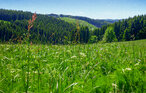 Feriehus - Hasselfelde im Harz , Tyskland - DAN410 17