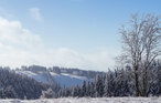 Feriehus - Hasselfelde im Harz , Tyskland - DAN410 24