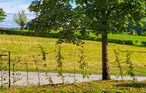 Feriehus - Untergriesbach , Tyskland - DBA353 8