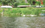 Husbåt - Havelsee , Tyskland - DBB003 18
