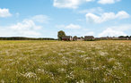 Ferienhaus - Hafendorf Zerpenschleuse , Deutschland - DBB468 15