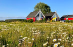 Ferienhaus - Hafendorf Zerpenschleuse , Deutschland - DBB468 13