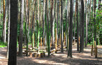 Feriehus - Pleinfeld am Brombachsee , Tyskland - DBY140 28
