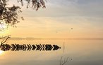 Ferienwohnung - Lembruch/Dümmer See , Deutschland - DDS634 22